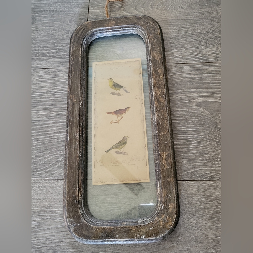 Creative Co-op Home Decor Bird Print 14x 6.5 Antiqued Frame